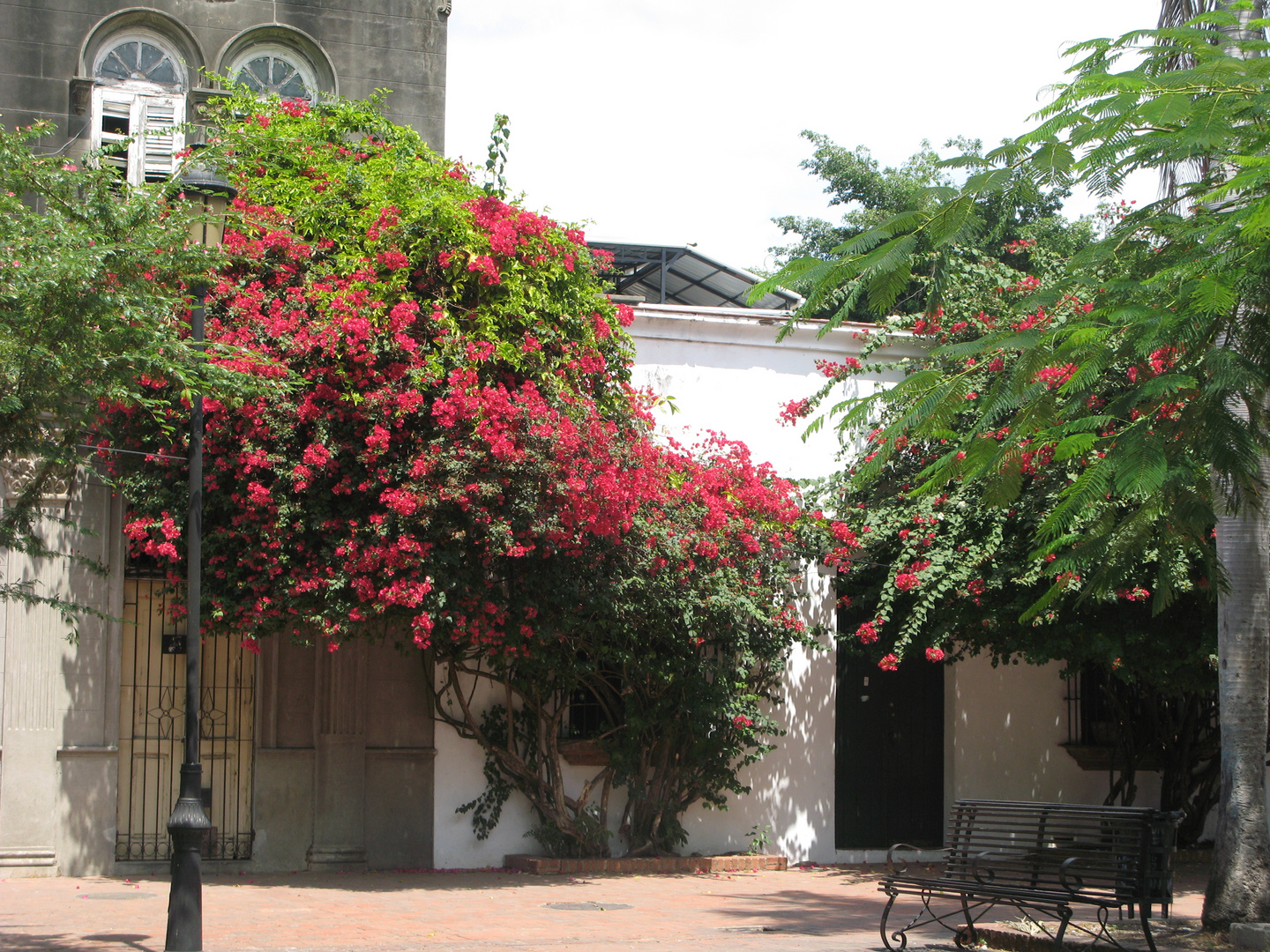 Romantik pur mitten in Santo Domingo - DomRep