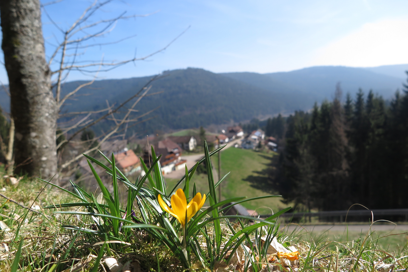 Romantik Tour (Schwarzwald) 25.03.2017