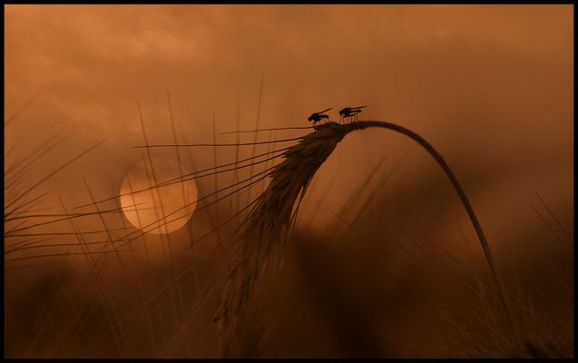 Romantik zu zweit!!!