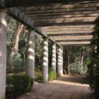 Romantique Pergola du Domaine du Rayol