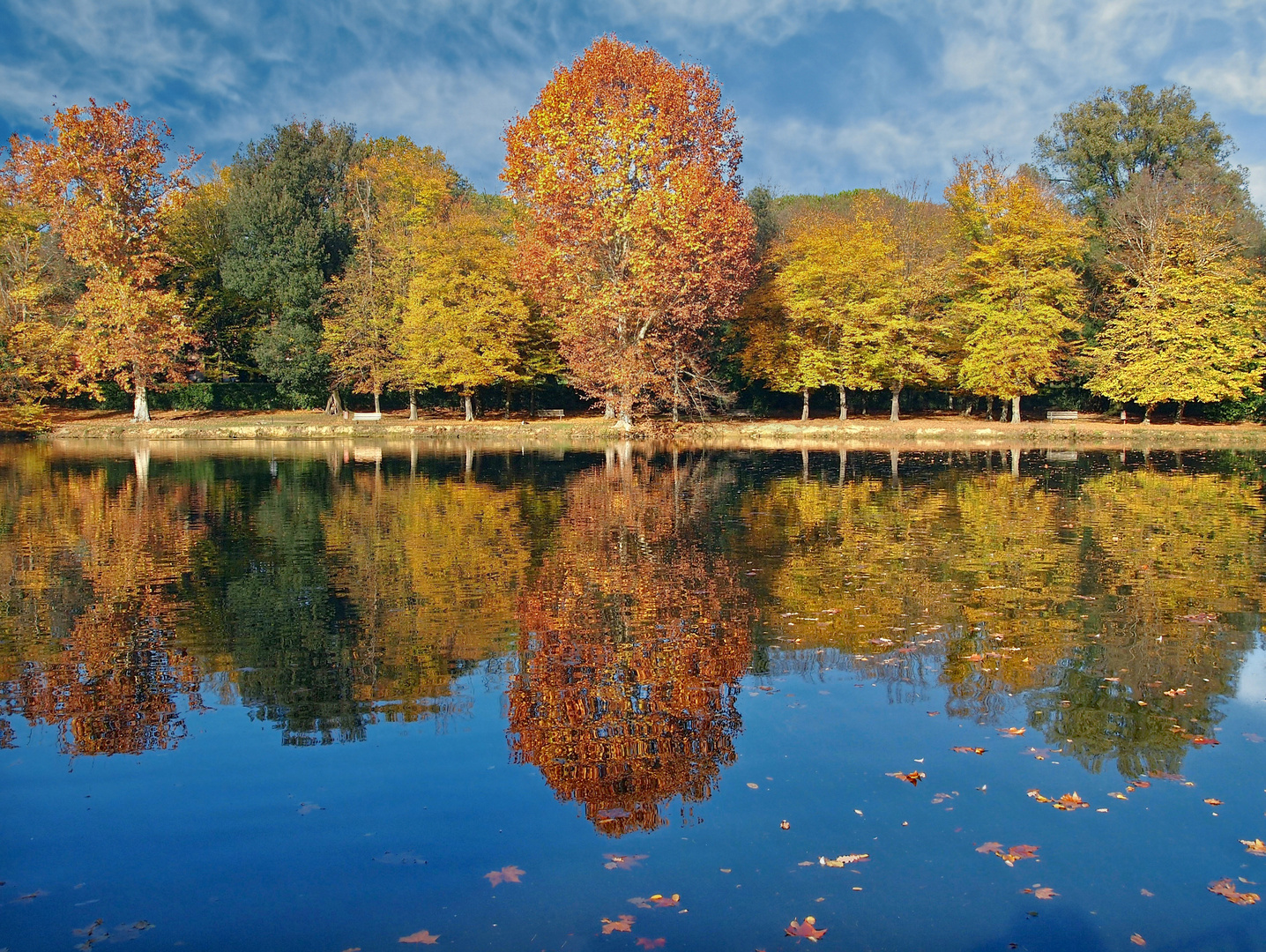 romantique symphonie d automne ...