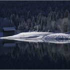 romantisch-ruhige Walchensee Winteridylle