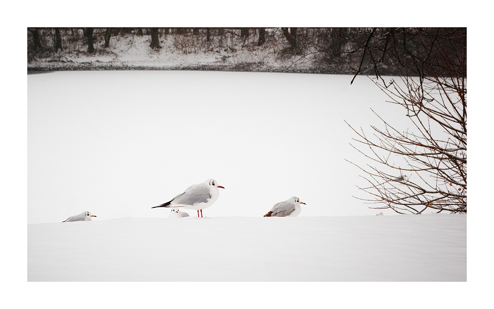 romantisch verklärtes Winterbild