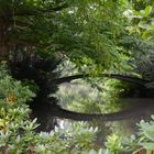 Romantische Bogenbrücke im Grünen