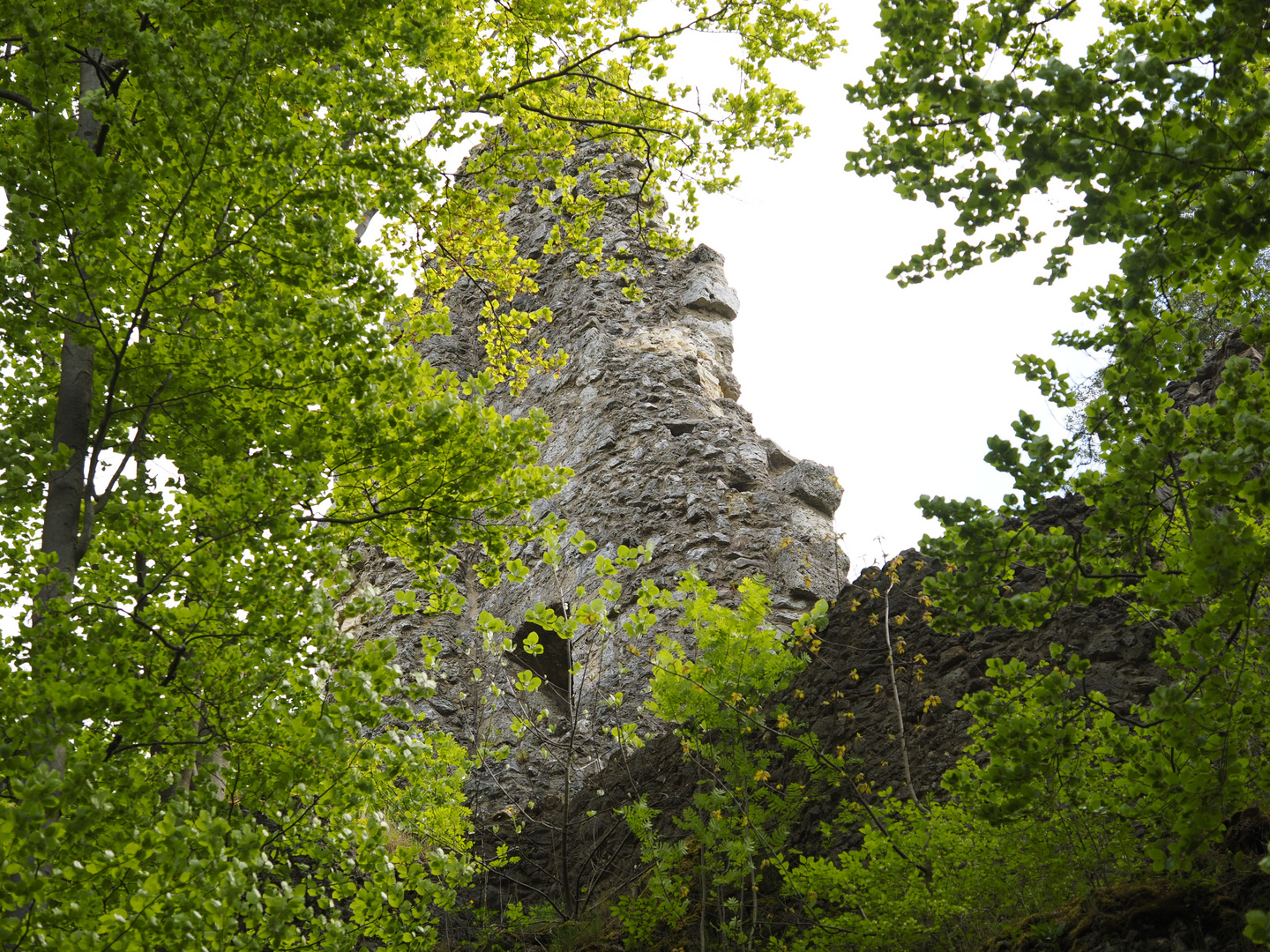 Romantische Burgruine Wildenfels