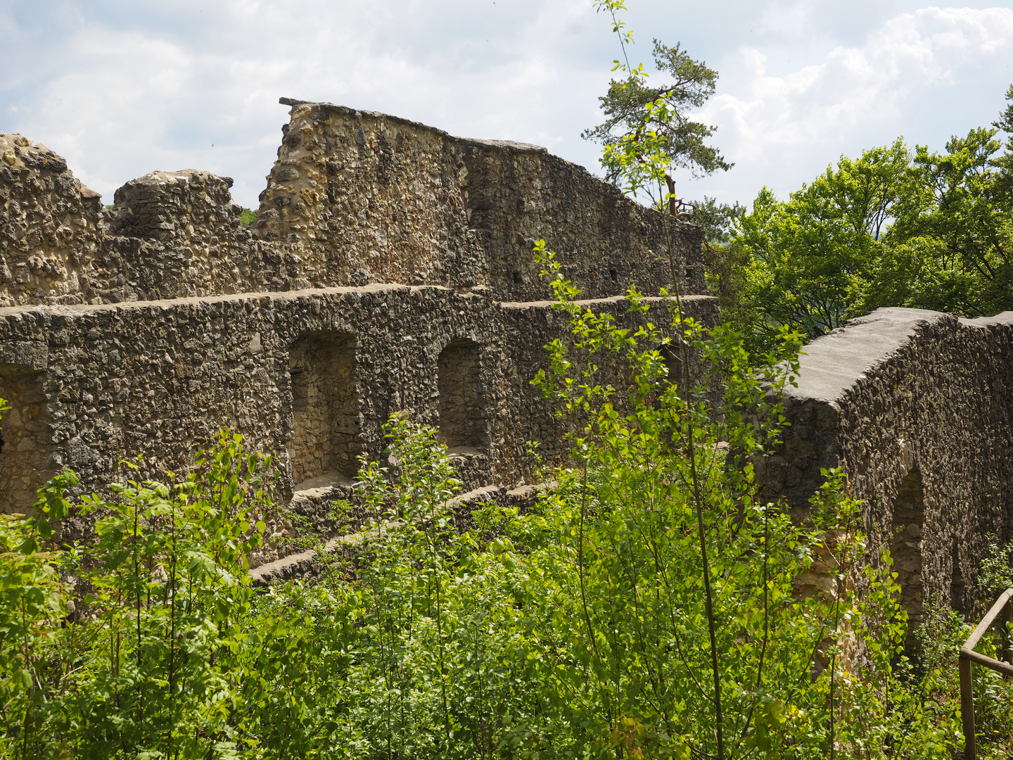 Romantische Burgruine Wildenfels