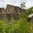 Romantische Burgruine Wildenfels