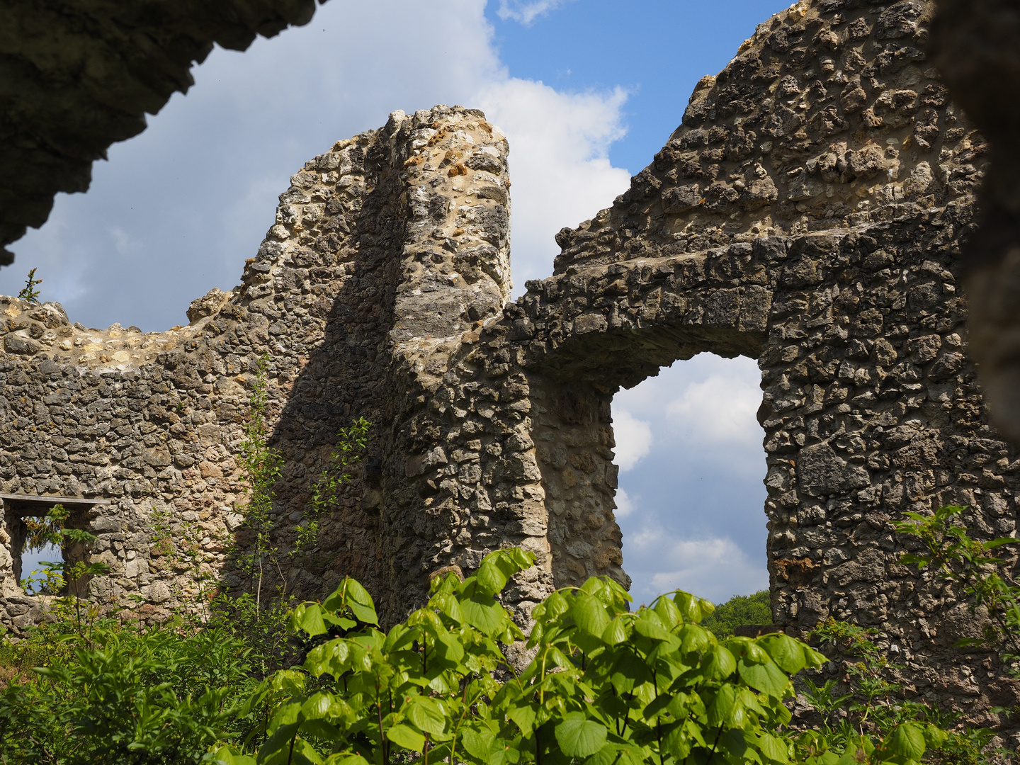 Romantische Burgruine Wildenfels