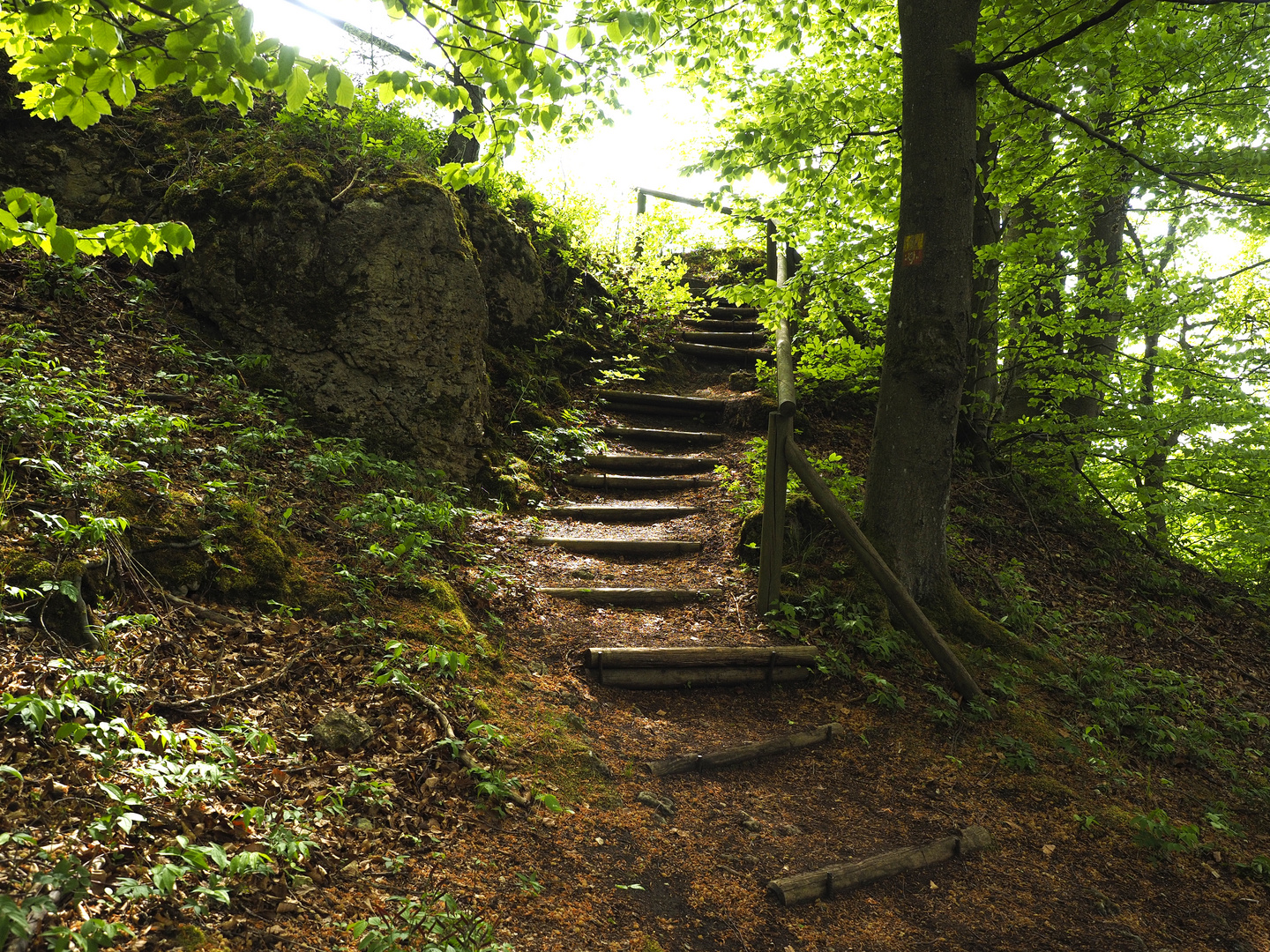 Romantische Burgruine Wildenfels