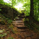 Romantische Burgruine Wildenfels