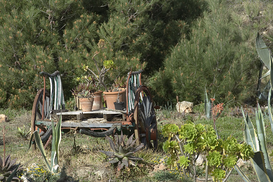 Romantische Gartenstimmung