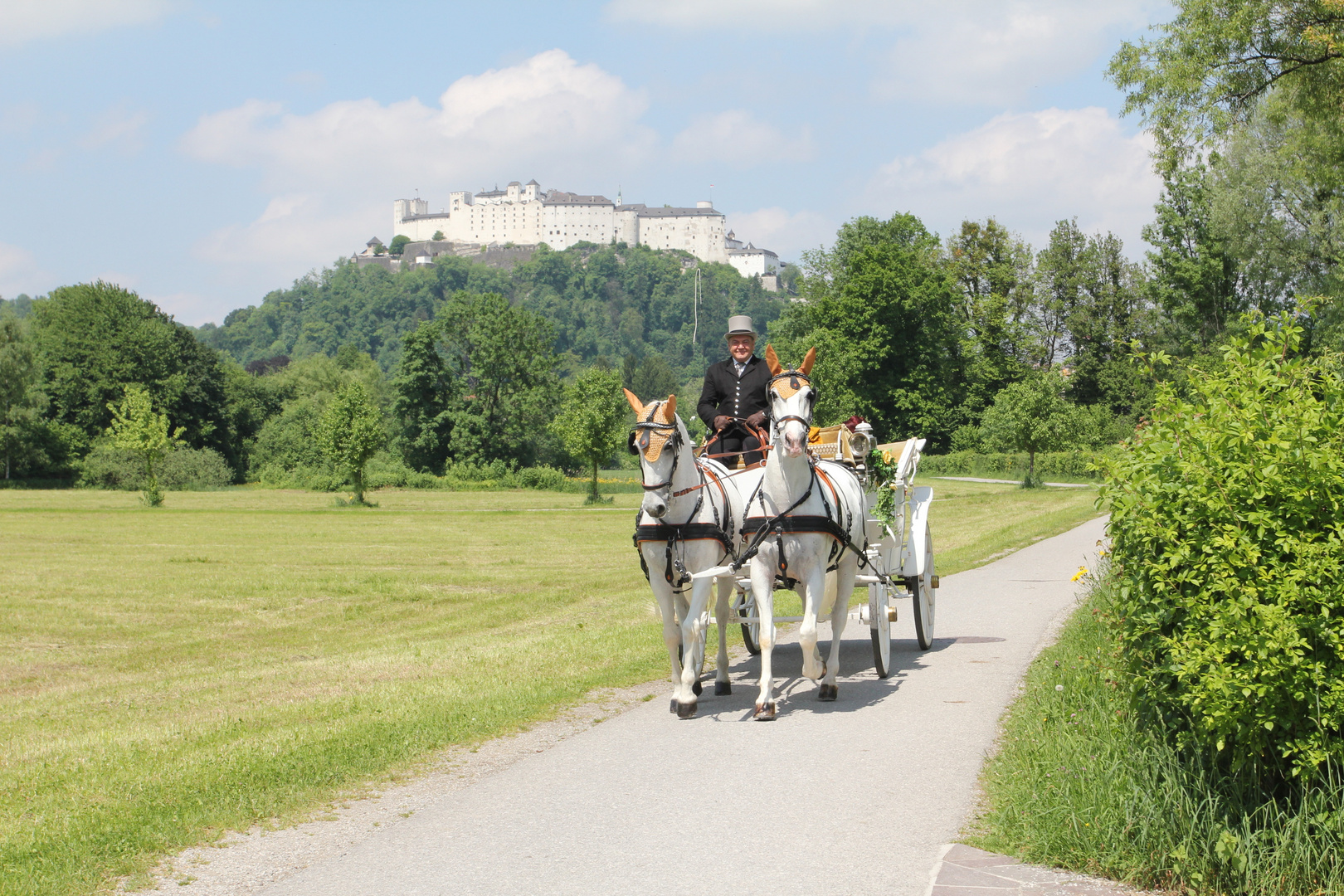 romantische kutschenfahrt