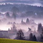 Romantische Nebelwelt am Nationalpark