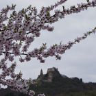 Romantische Ritterzeit ?  Wachau - Dürnstein