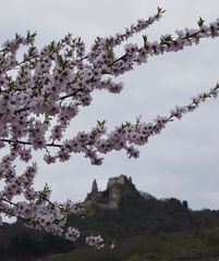 Romantische Ritterzeit ?  Wachau - Dürnstein