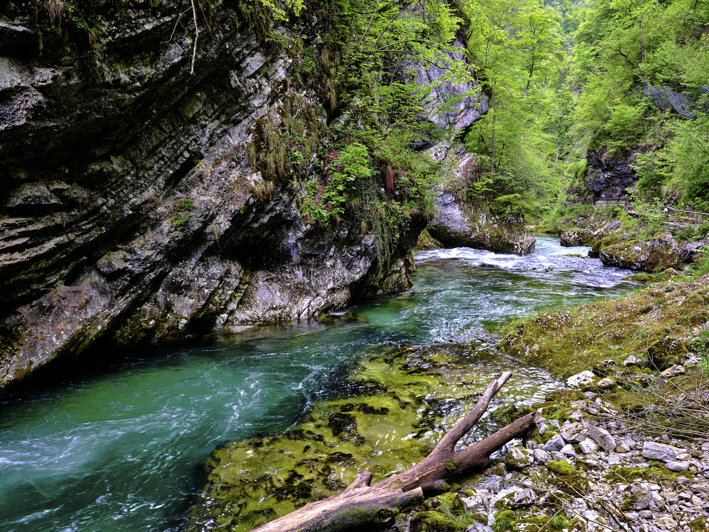 Romantische Vintgar Klamm