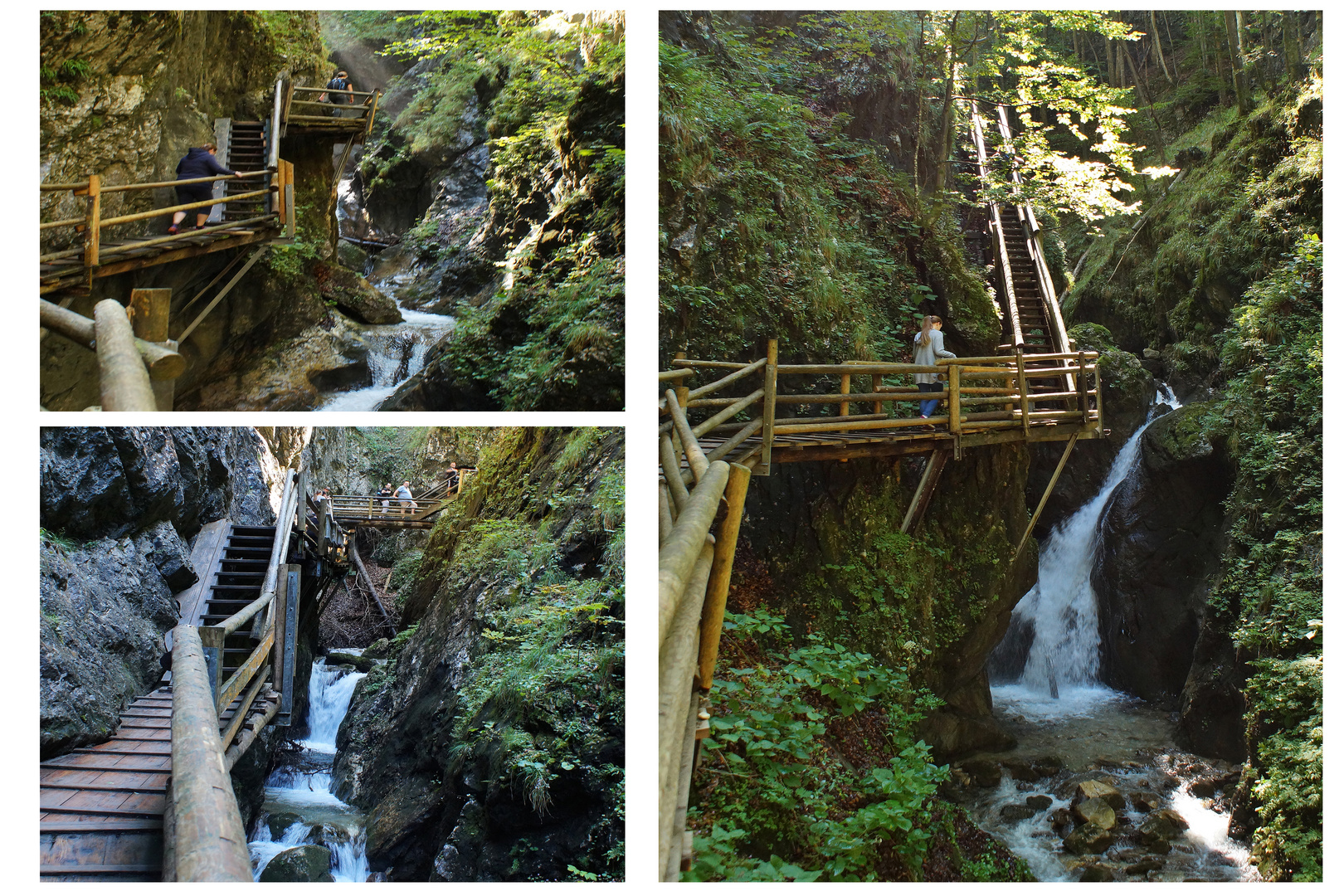 Romantische Vogelgesangklamm