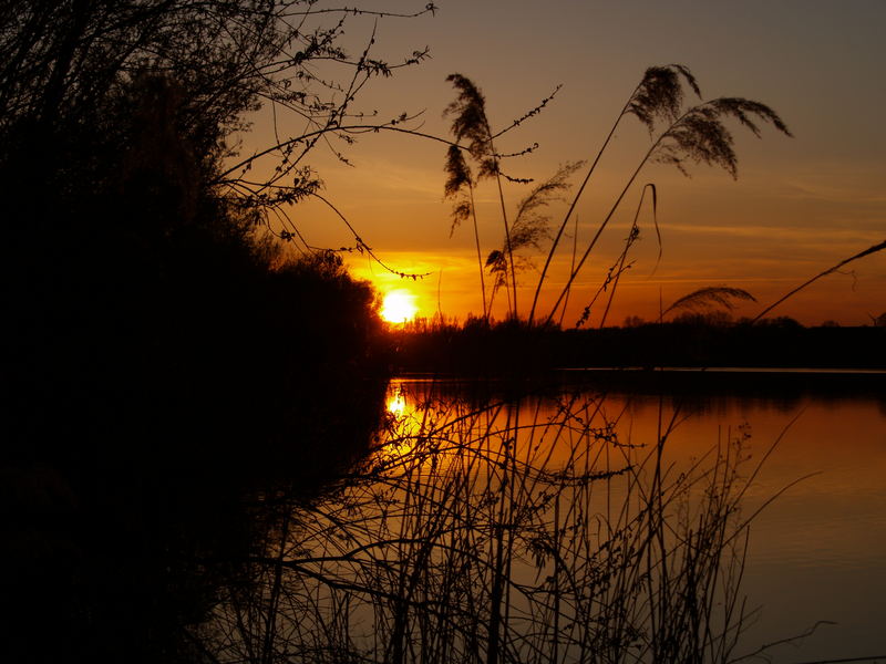 Abendbilder romantische 55 Kostenlose