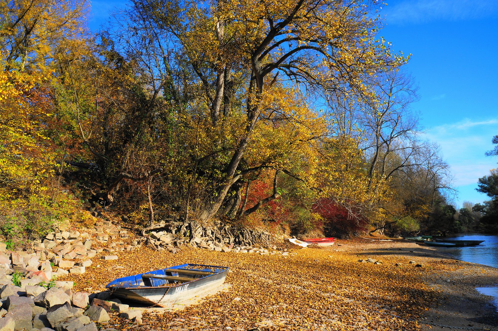 Romantischer Altrhein im Herbst