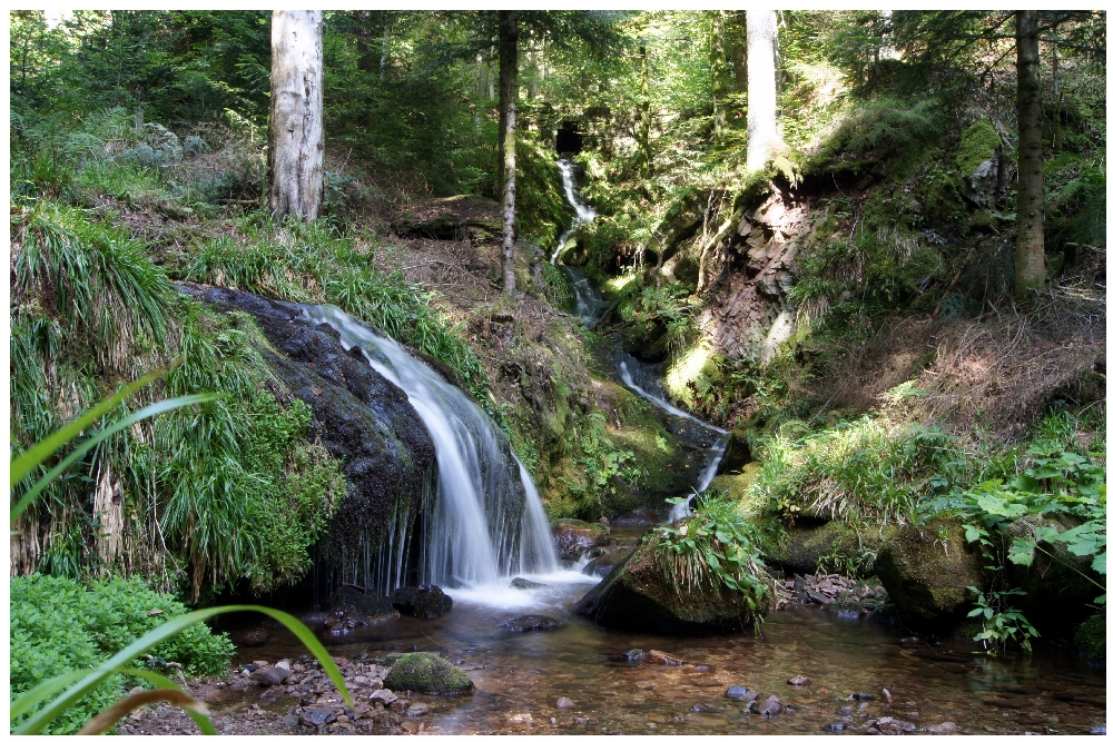 Romantischer Bachlauf am "Wiesensteig" #2