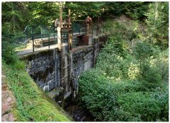 Romantischer Bachlauf am "Wiesensteig" #3