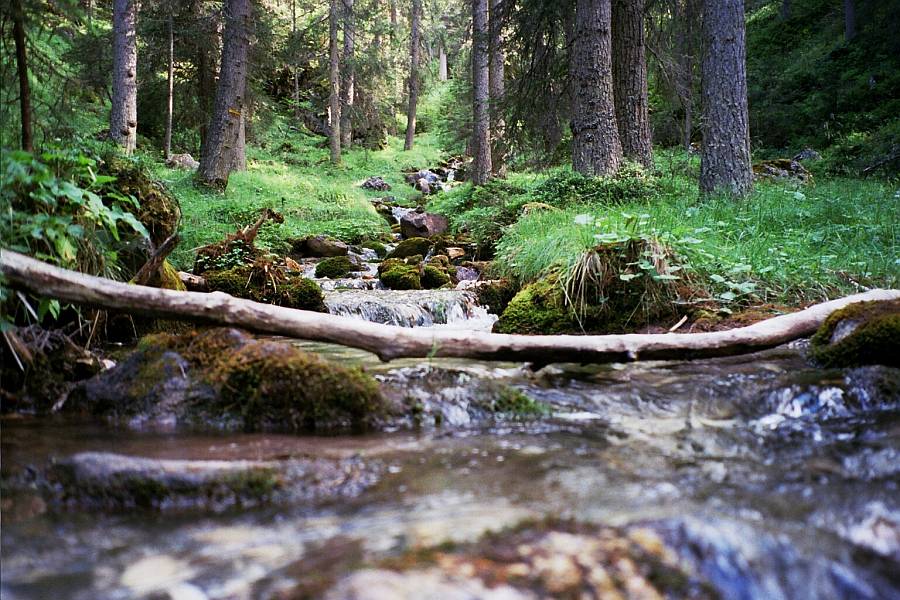 Romantischer Bachlauf