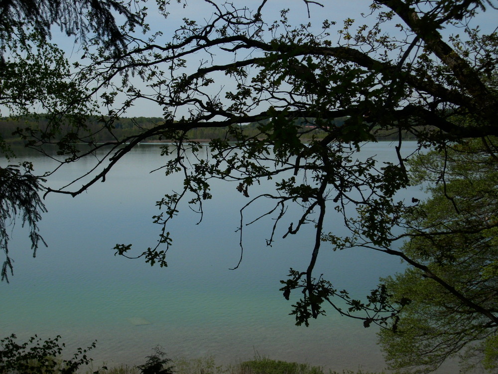 Romantischer Blick auf den See