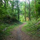 Romantischer Fußweg um Kloster Arnsburg