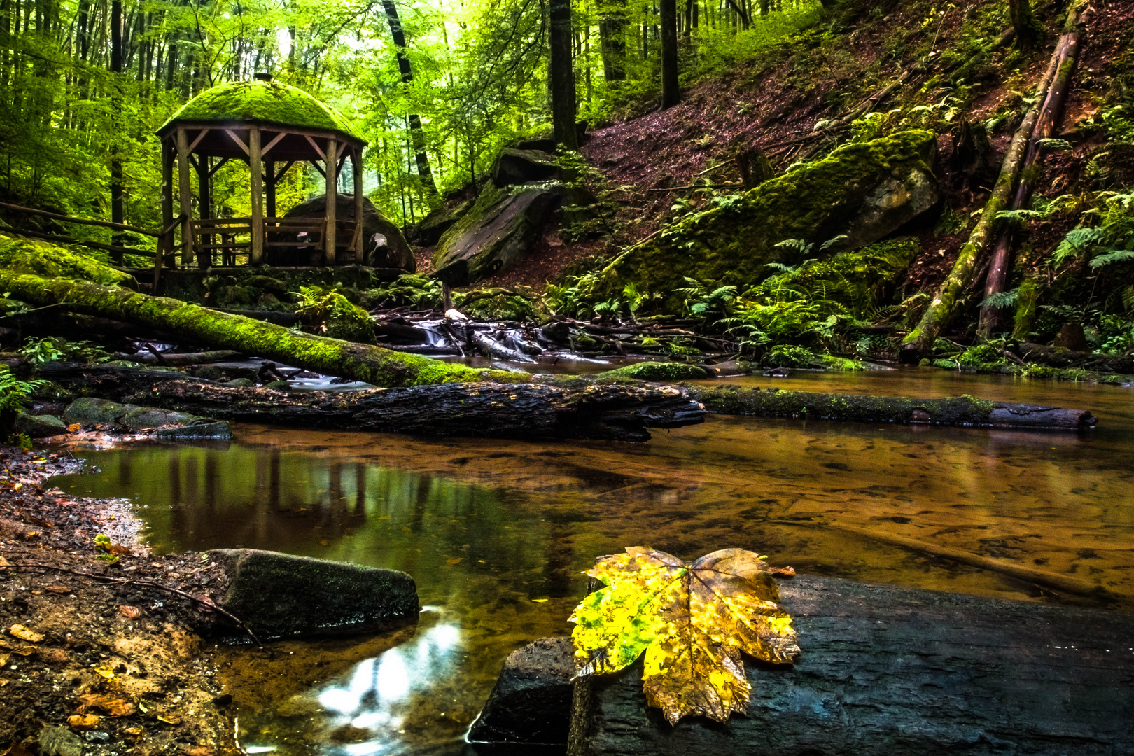 Romantischer Herbst