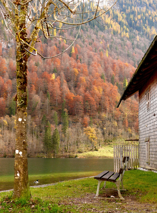 romantischer herbstlicher Ausblick