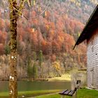 romantischer herbstlicher Ausblick