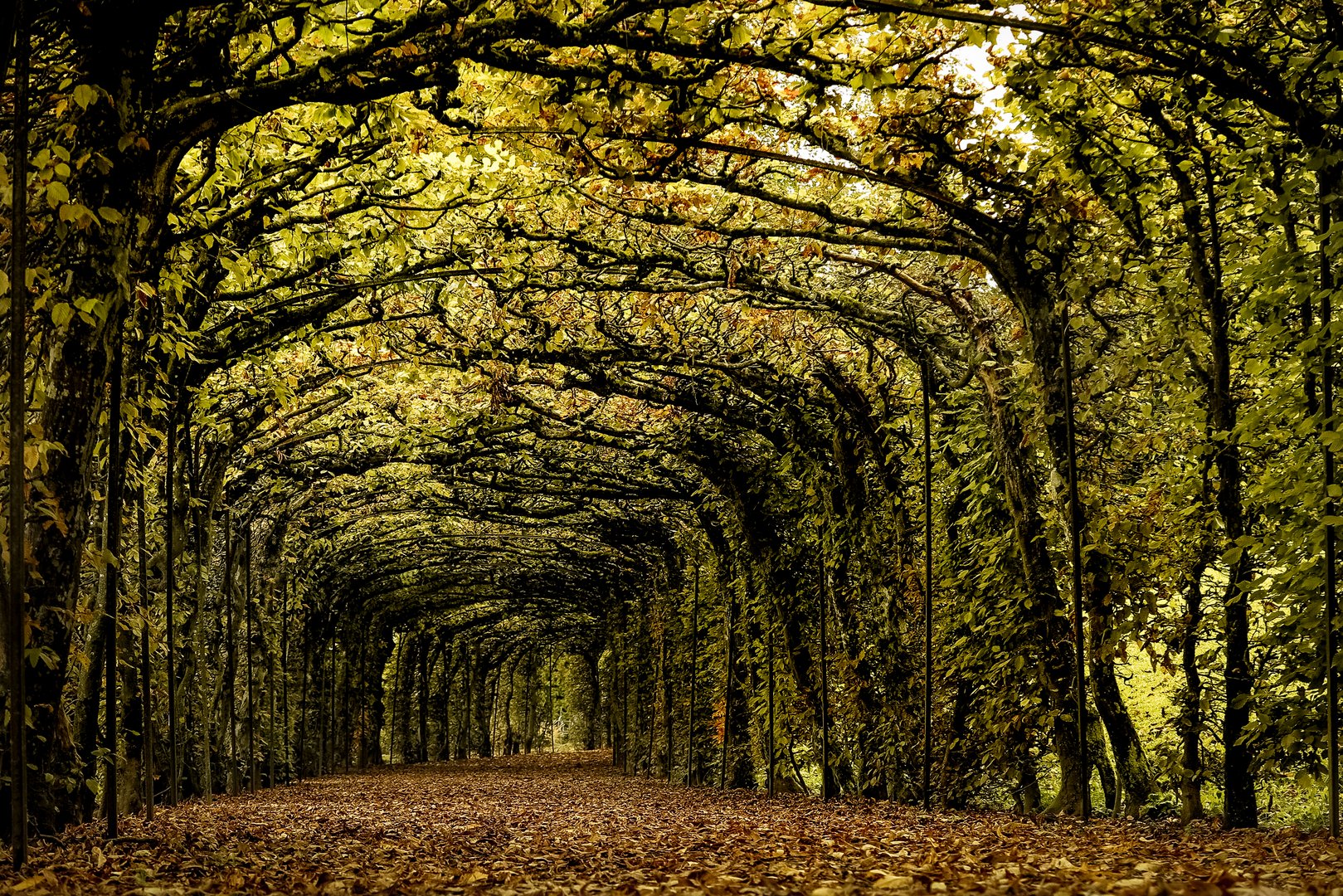 Romantischer Laubengang im Schlosspark