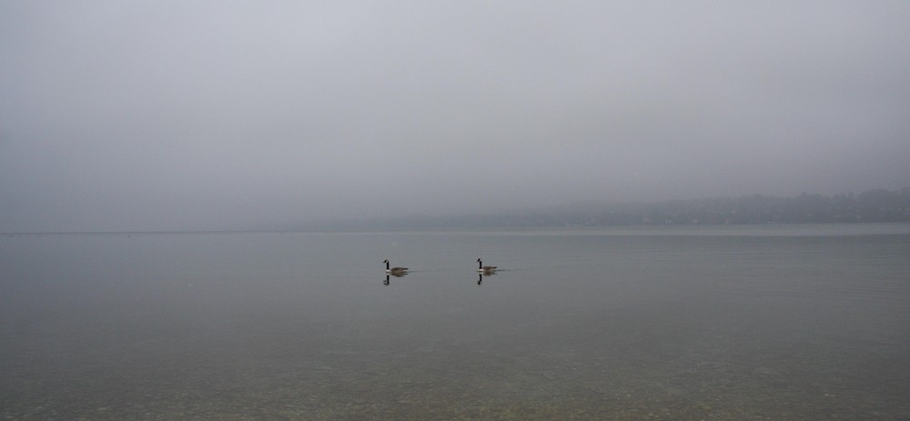 Romantischer Nebel...