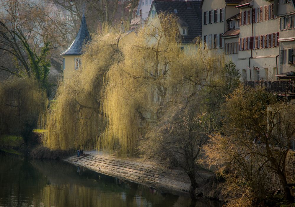 Romantischer Neckar