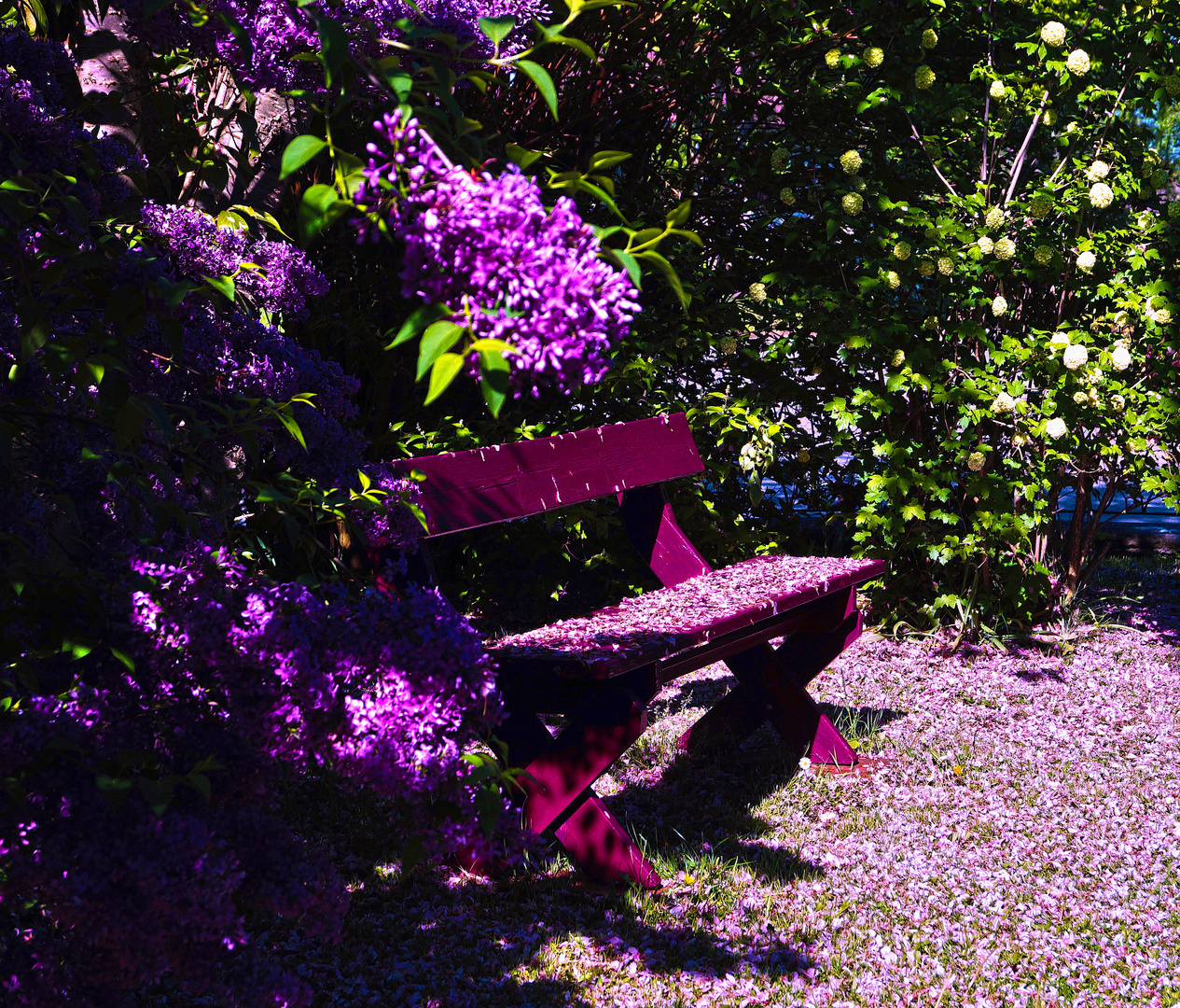 Romantischer Platz im Garten