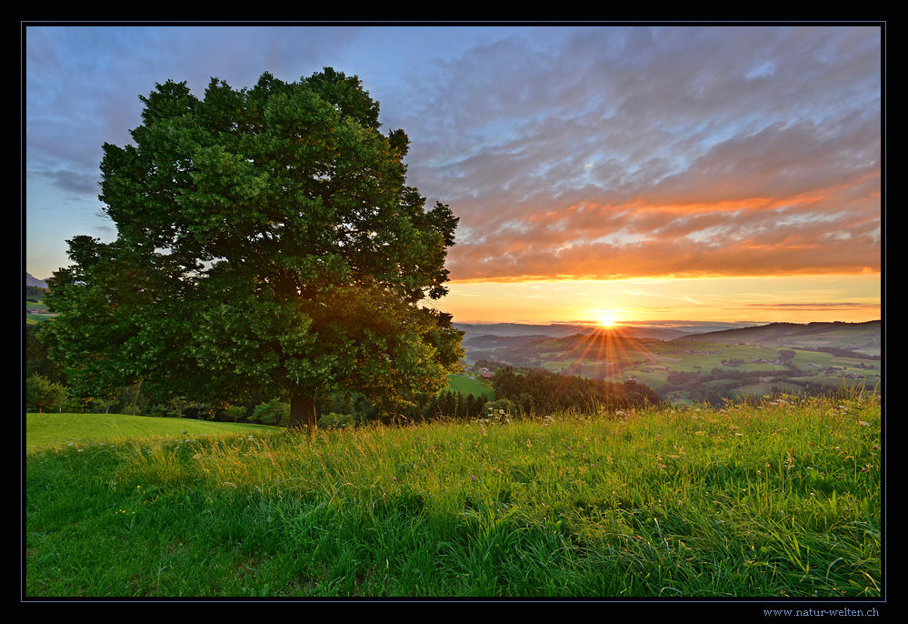 - - - romantischer Sommerabend - - -