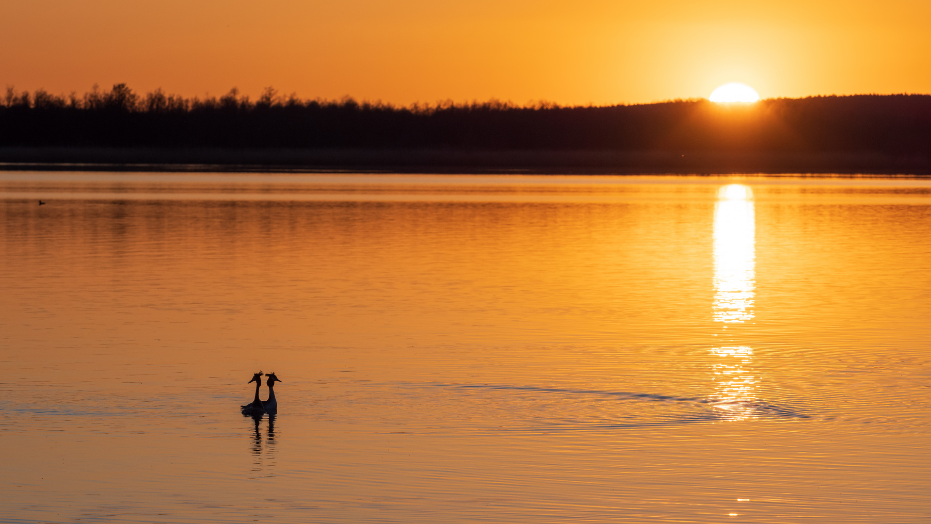 Romantischer Sonnenuntergang 