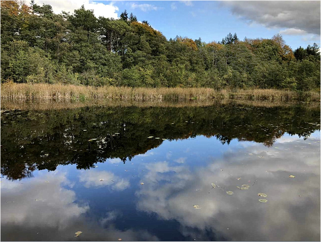 romantischer Spiegelsee  17.11.2020