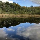 romantischer Spiegelsee  17.11.2020