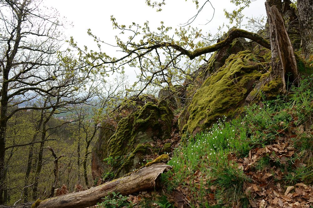 romantischer Wanderweg zu den 3 Burgen