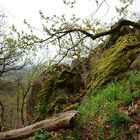 romantischer Wanderweg zu den 3 Burgen