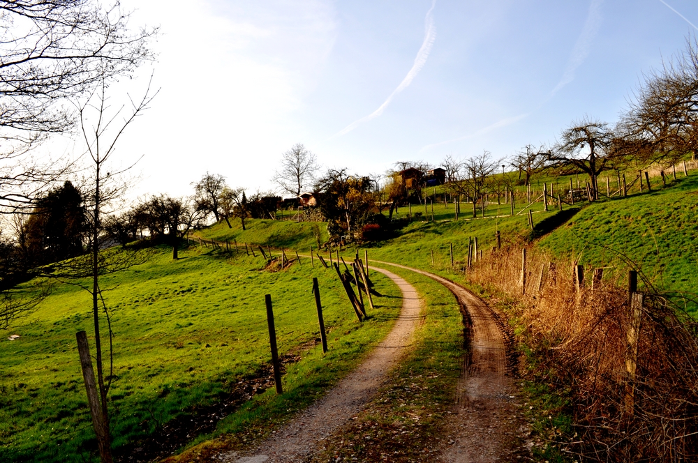 Romantischer Weg in der Abendsonne