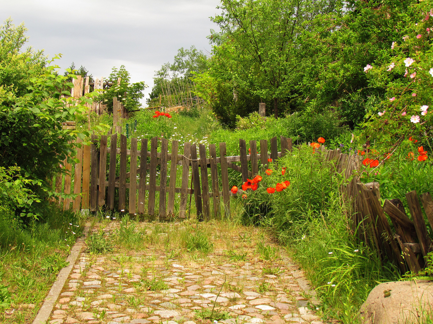 Romantischer Wildgarten