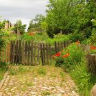 Romantischer Wildgarten