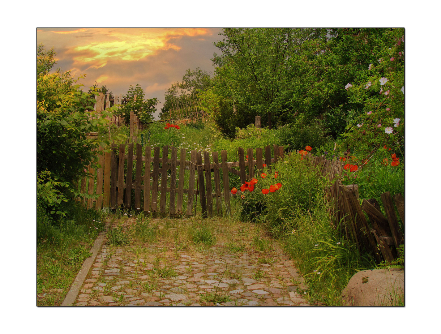 ~ romantischer Wildgarten ~