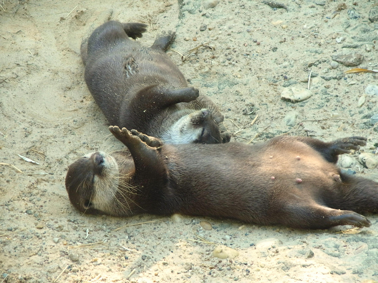 Romantisches Chillen