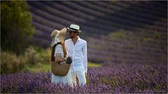Romanze im Lavendel