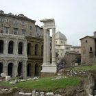 ROMA.TeatroMarcello,rione Campitelli e Sinagoga