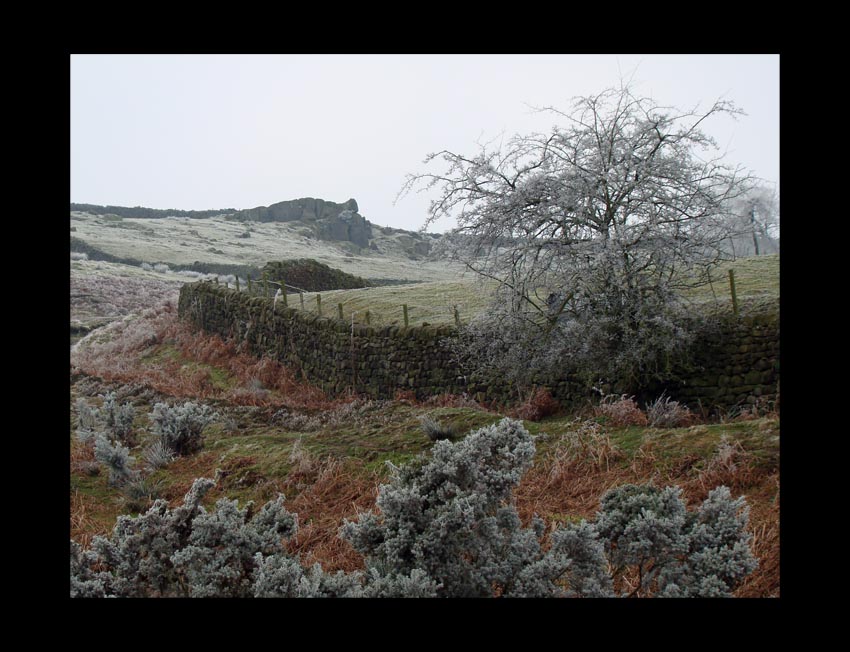 Rombalds Moor