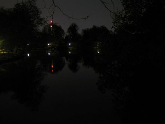 Romberg Park bei Nacht